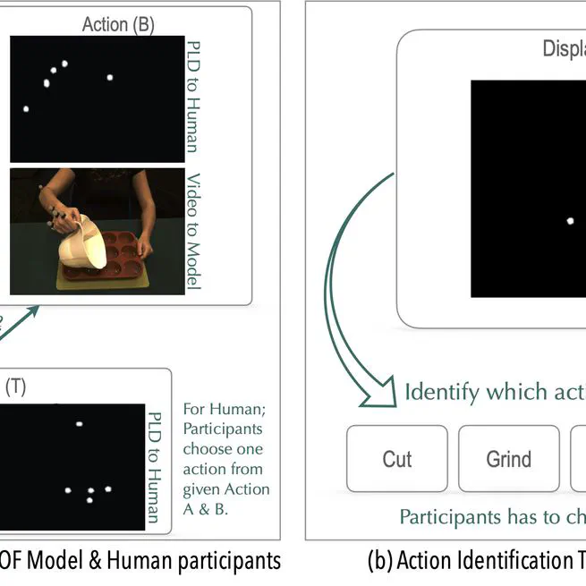 Action similarity judgment based on kinematic primitives